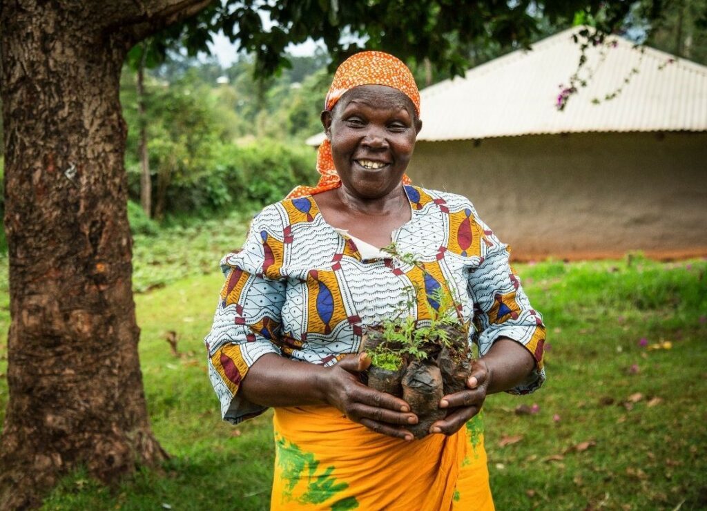 Parmi les arbres plantés par Brembo figurent des espèces fruitières et non fruitières adaptées à l'environnement local et aux besoins de sa population.