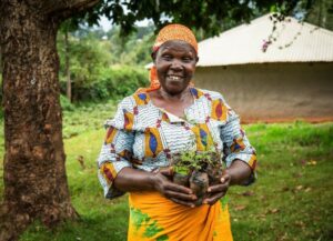 Brembo va planter 14 000 arbres au Kenya