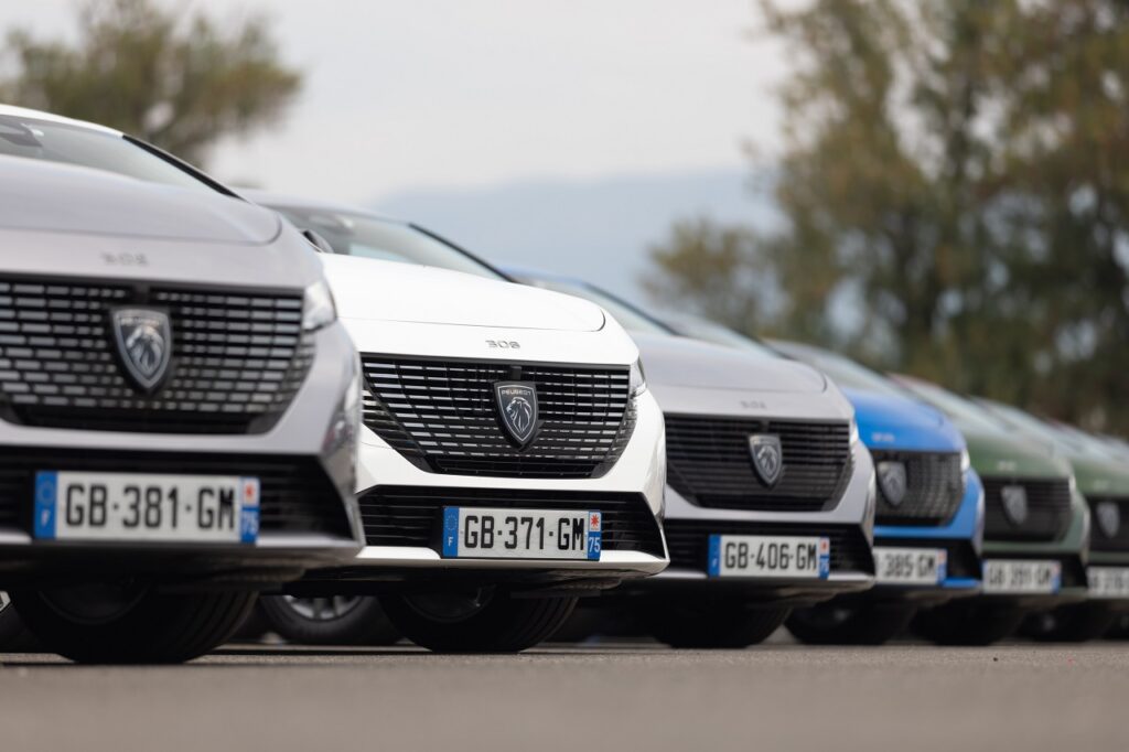 Malgré un repli de 22,4 %, à 7 621 unités, Peugeot reste en tête sur le marché des flottes.