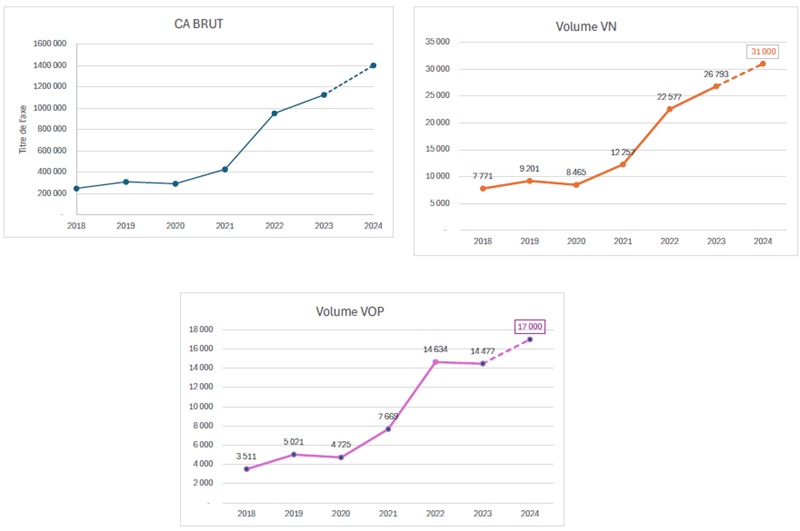 graphique montrant les résultats du groupe GGP Auto. evolution des ventes de voitures neuves, d'occasion et de chiffre d'affaires