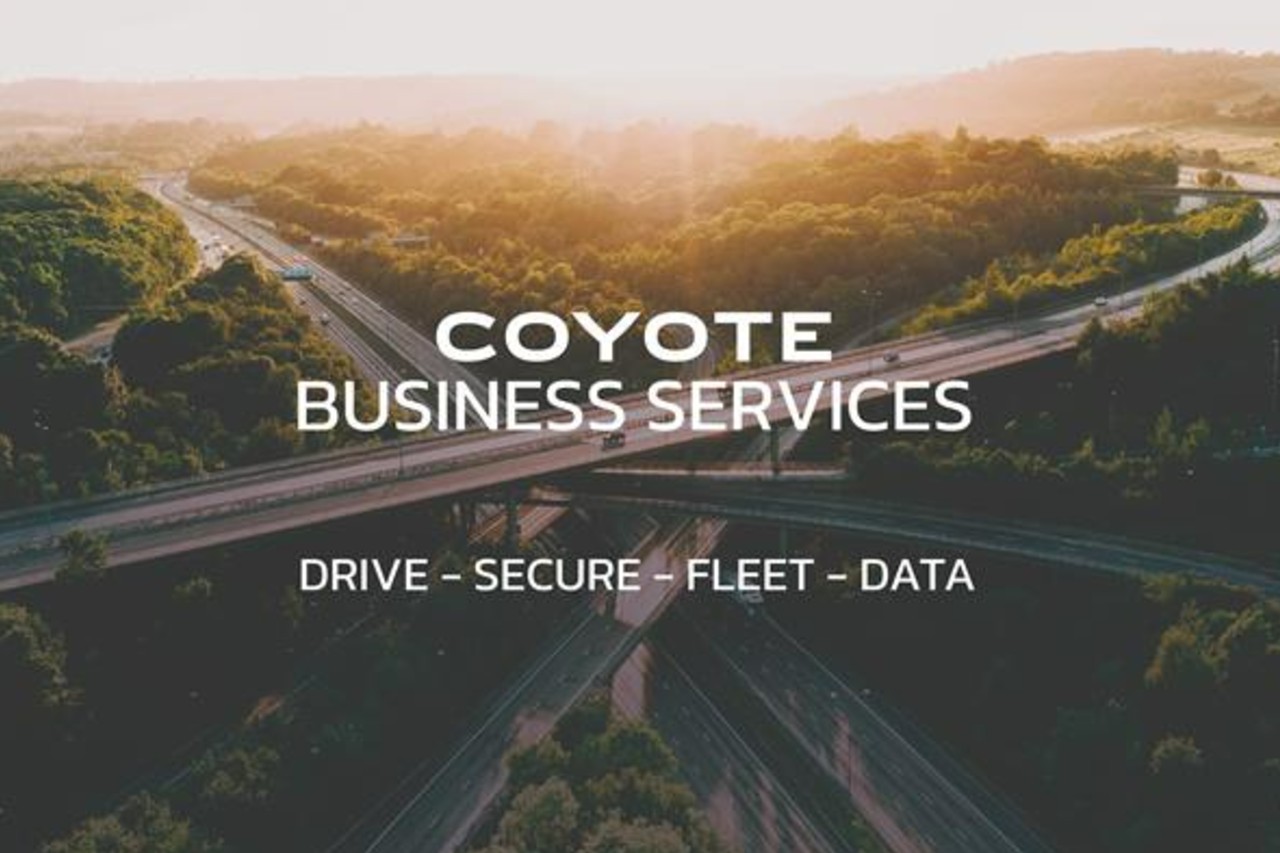Coyote