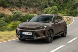 Cupra a la cote chez les professionnels