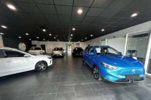 Le top 10 des distributeurs MG en France