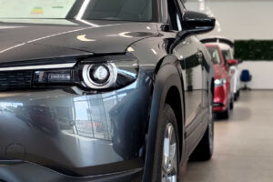 Promoneuve se refait une beauté pour affronter la crise du VN