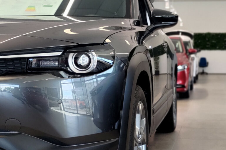 Promoneuve se refait une beauté pour affronter la crise du VN