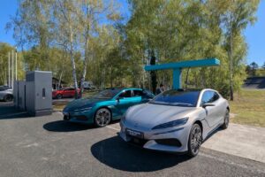 Qui sont les premiers distributeurs Denza ?