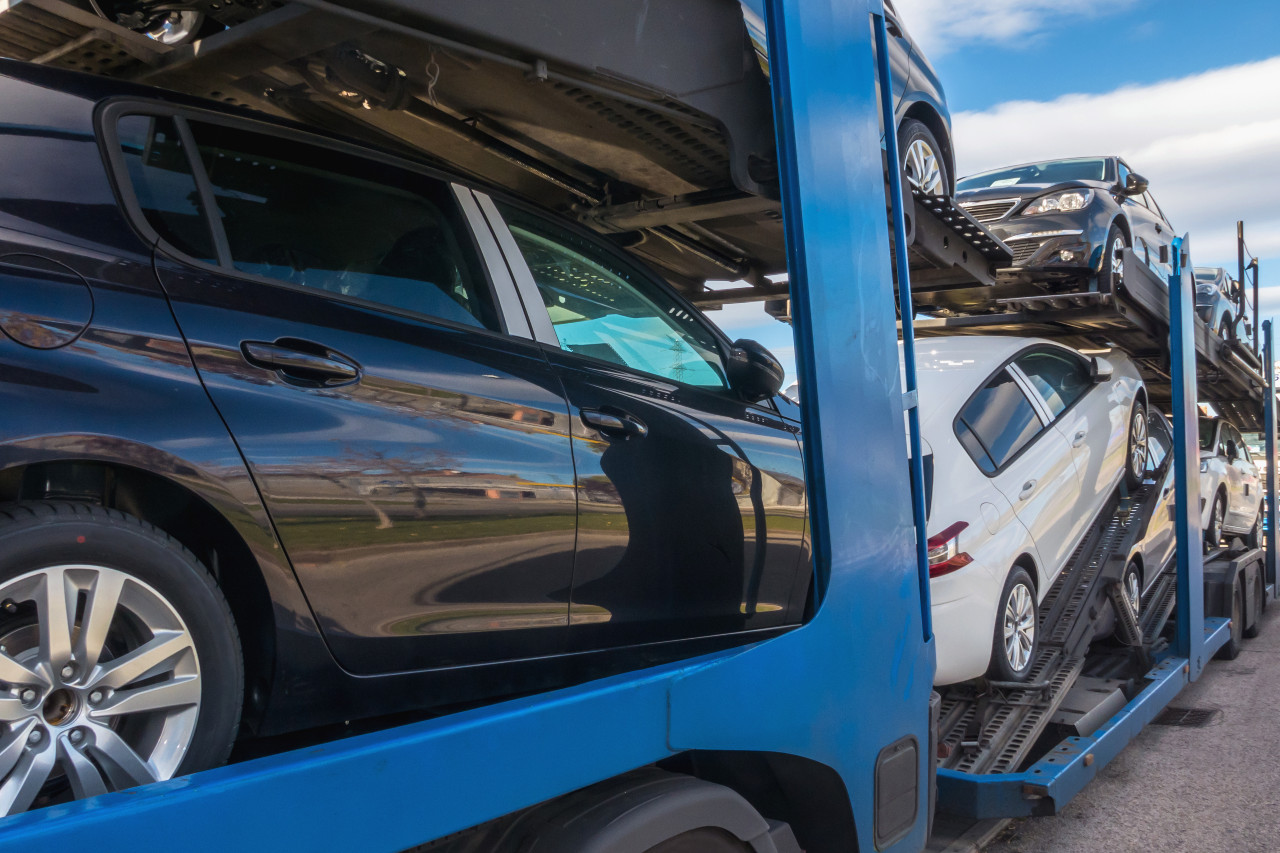 bilan 2025 carvertical